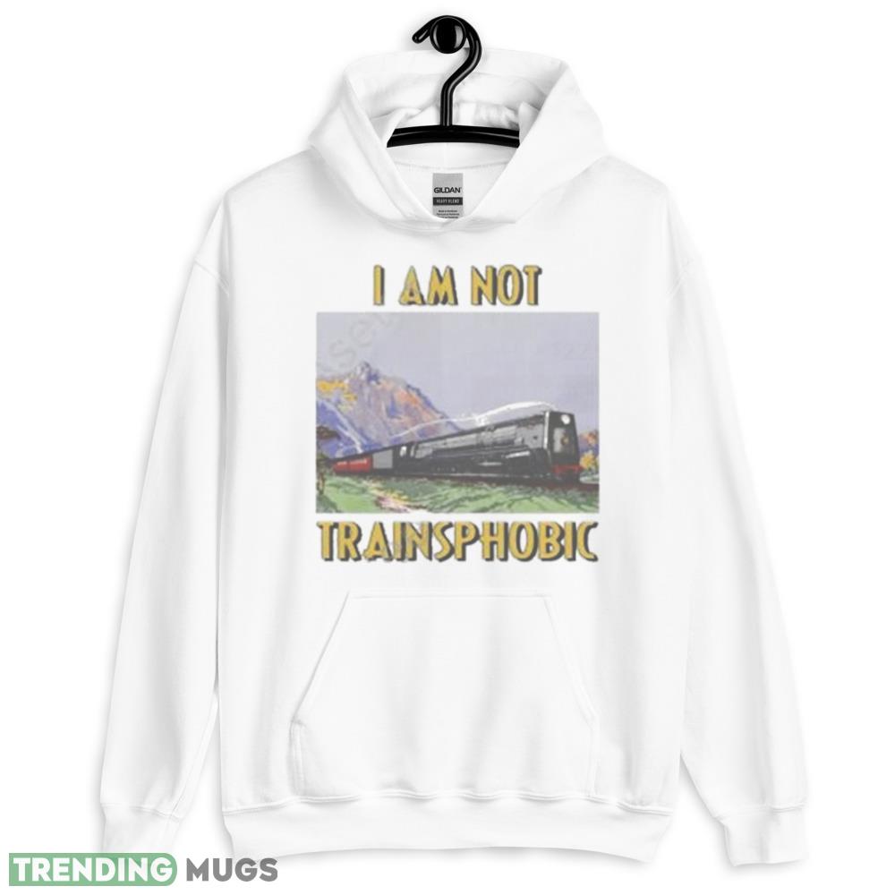 Thegoodshirts I Am Not Transphobic Shirt - 18500 Unisex Heavy Blend Hooded Sweatshirt-1 Thegoodshirts I Am Not Transphobic Shirt - 18500 Unisex Heavy Blend Hooded Sweatshirt-1