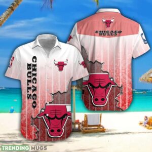 Chicago Bulls Hawaiian Shirt Summer Gift For Men And Women Hawaiian Shirt
